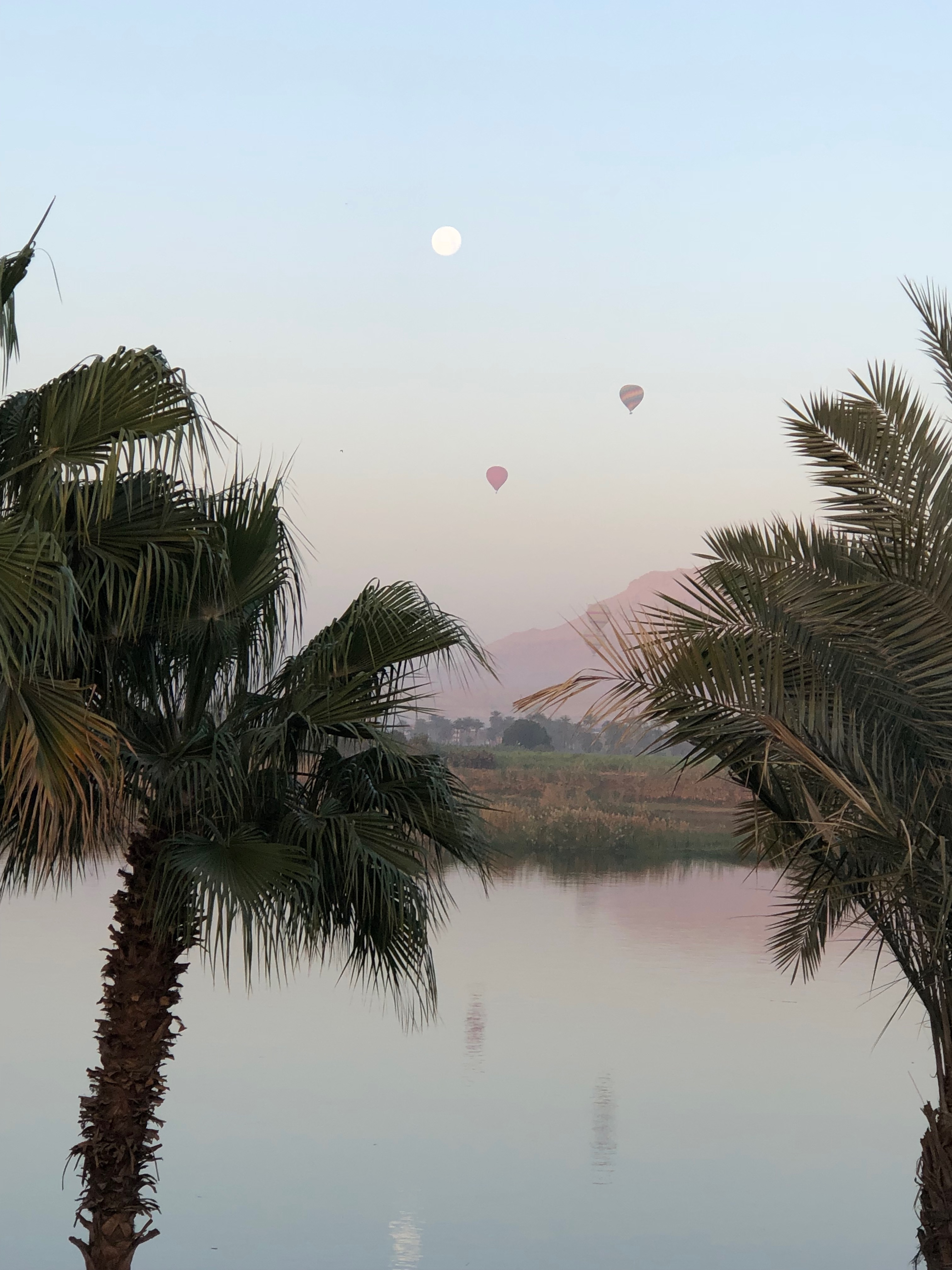 Hot air balloons at sunrise