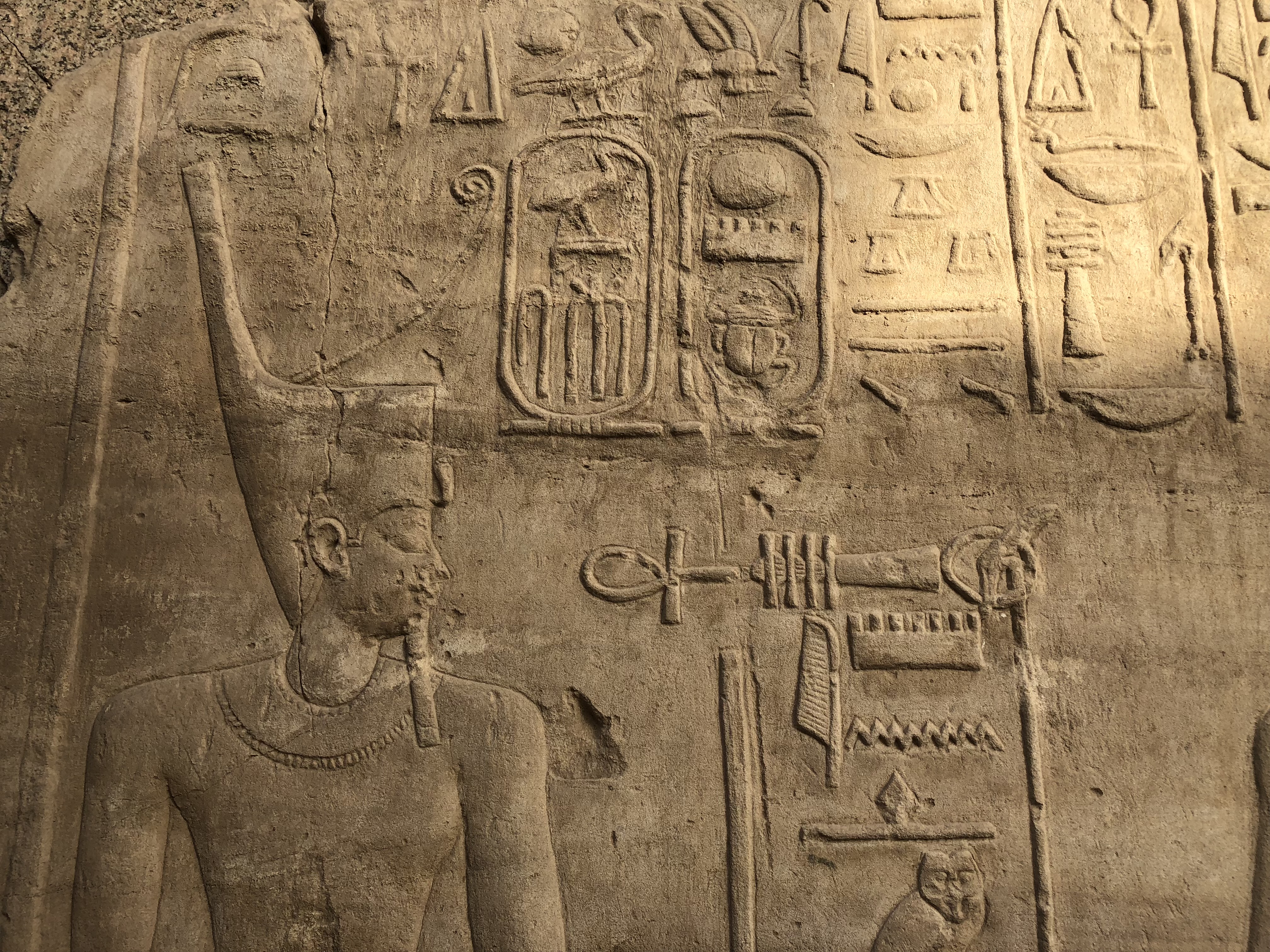 Pharaoh relief